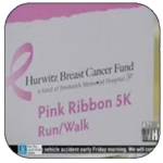 Hurwitz Breast Cancer Fund